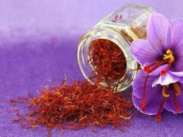 Saffron (nhụy hoa nghệ tây)